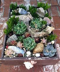 Want to do a project that is a bit more traditional? Shop Succulents Network Succulent Garden Design Succulents Succulent Planter Diy