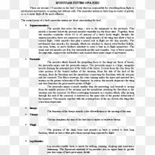 Pdf drive investigated dozens of problems and listed the biggest global issues facing the world today. Docx Museum Of Their Own Answer Key Readworks Hd Png Download 612x792 4109499 Pngfind