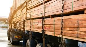 Timber!, a lumberjack call to warn others that a cut tree is about to fall. Record Setting Lumber Prices Lift Timber Etfs Nasdaq