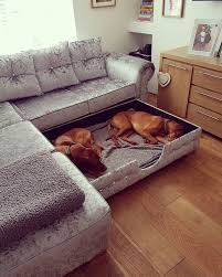 Aber Auf Aus Die Eine Grossartige Halten Hund Idee Pinterest Sah Sie Wie Es Sah Auf Pinter Hundezimmer Design Fur Zuhause Haus Dekoration