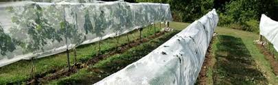 Check spelling or type a new query. Fruit Tree Netting Smart Net Systems Industrial Netting Systems