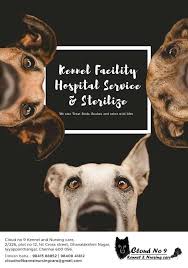 Accommodation that'll set tails wagging. Cloud No 9 Animal Care Rehabilitation Center Home Facebook