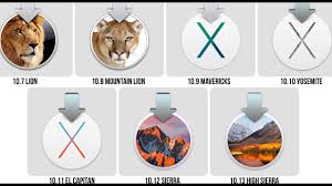 8-In-1 Macos Mountain Lion Mavericks Yosemite El Capitan High Sierra Mojave  Catalina Big Sur Bootable Usb Drive 3.2 Full Install/Upgrade/Recovery/Restore  Mac Os X