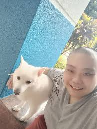 Gex Drinking bowl with stand for dogs at Toa Payoh