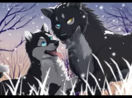 Calm Down Cartoon Wolf Anime Wolf Anime Wolf Girl