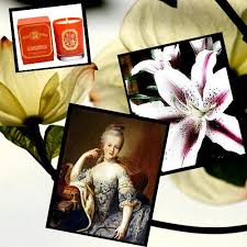 Baroness von neumann candle collections. Baroness Von Neumann Home Facebook