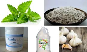 Is your home always attractive to pests? 15 Organic Pest Control Options That Really Work