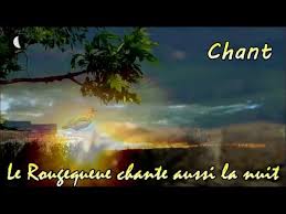 Je vais me balancer du lustre, du lustre je vais vivre comme si demain n'existait pas, comme si ça sur la campagne endormie le silence et puis un cri ce n'est rien, un oiseau de la nuit qui fuit. Rougequeue Qui Chante La Nuit Chant D Oiseau Youtube