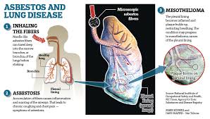 Image result for images Airborne Asbestos Fibers