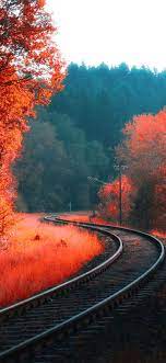We did not find results for: Aesthetic Forest Wallpaper Kolpaper Awesome Free Hd Wallpapers