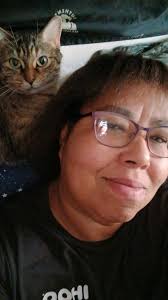 Introduction of Pet Cats in Georgia