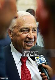 353 Dan David Gala Stock Photos, High-Res Pictures, and Images