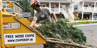Chipdrop matches people who want free wood chip mulch with arborists and tree companies who are trying to get rid of it. Press Kit Wood Chip Mulch Mulch Wood Chips