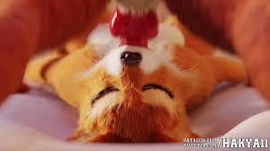 @Hakya11s video Tweet