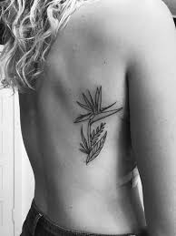 Bird Of Paradise Tattoo Paradise Tattoo Bird Of Paradise Tattoo Tattoos