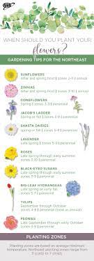 Perennials are a great way to add color, texture, and interest to your gardens! Our Northeast Flower Chart Shows You When To Plant Your Aaa Network