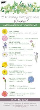 Check spelling or type a new query. Our Northeast Flower Chart Shows You When To Plant Your Aaa Network