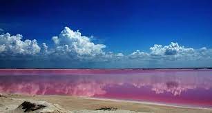 Sign up for facebook to get started. Conoce Todo Sobre Las Coloradas En Yucatan