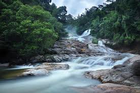 Air terjun chamang terletak di penghujung jalan chamang dalam kawasan hutan simpan kekal (hsk) bukit tinggi dalam daerah bentong, pahang. Taman Eko Rimba Chamang Jabatan Perhutanan Semenanjung Malaysia