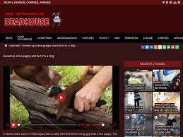 Sawed up a live puppy and fed it to a dog. Video