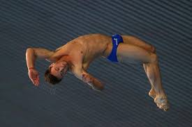 Finas Degree Of Difficulty In Diving Table