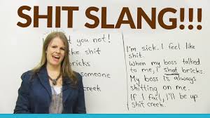 Learn Slang 10 Shit Expressions Youtube