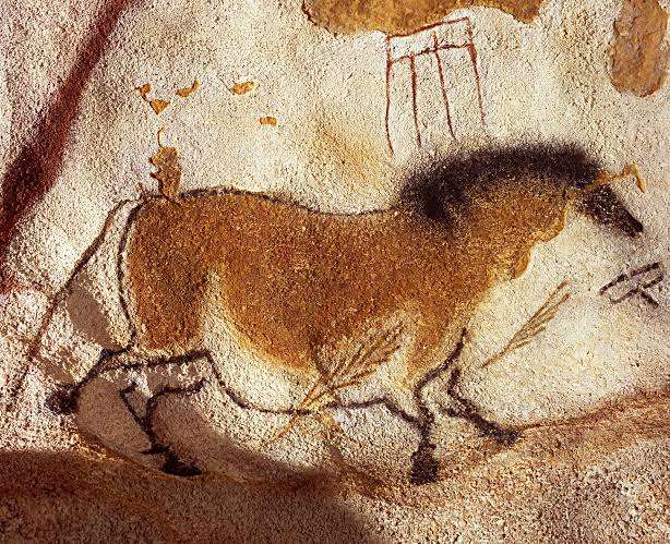 Ancient DNA provides new insights into cave paintings of horses