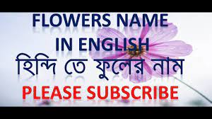 It is the most widely spoken language of bangladesh and the second most widely spoken of the 22 scheduled. Pin On Learn Hindi Through English And Bengali Language