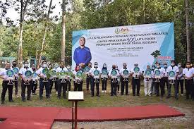 Jabatan perkhidmatan veterinar negeri perak. Menteri Besar Officiates Perak State Level 100 Million Tree Planting Campaign 28 December 2020