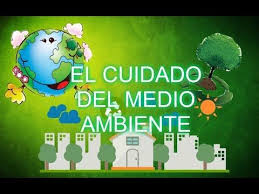 Con nuestros consejos para cuidar el planeta y las acciones para la conservación de ecosistemas podrás aportar tu granito de arena. Como Cuidar El Medio Ambiente Para Ninos De Primaria Youtube Cuentos Del Medio Ambiente Educacion Ambiental Para Ninos Cuidado Del Medio Ambiente