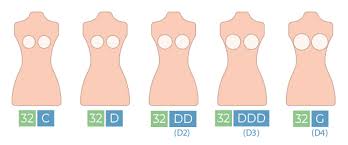 Read more about why your bra size may have changed and how will you know. Herroom Decoding Bra Cup Sizing Milled