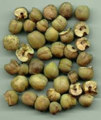 Image result for Afroqueta