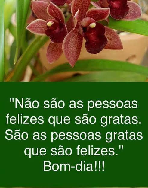 images?q=tbn%3AANd9GcRzncSbL3yBKj8VyqY4R