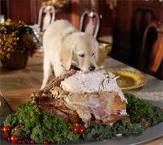 In small doses on special occasions. The Dog S Christmas Dinner What Your Dog Can Can T Eat D For Dog