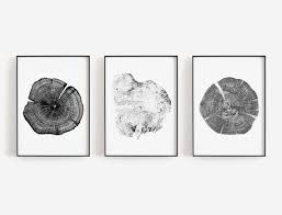 Black And White Nature Art Prints Set Of Three Prints Set Of 3 Prints Set Tree Prints Tree Etsy Tree Ring Art Prints Nature Prints