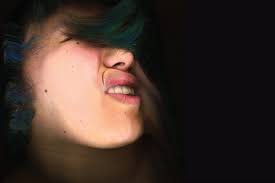 Charmaine Lee: Laminals