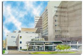 Welcome to the Boston Polytrauma Network Site