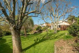 Pin By Julia Wharton On Omokoroa Tauranga Beach Tree