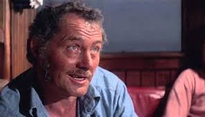 The Fiction of Captain Quint