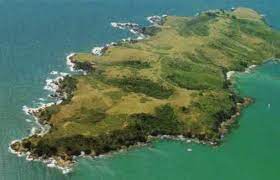 Tiritiri matangi means looking to the wind or wind tossing about. Tiritiri Matangi Island The Vacation Gateway