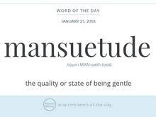 Mansuetude was first used in english in the 14th century, and it derives from the latin history and etymology for mansuetude middle english, from latin mansuetudo, from mansuescere to tame, from. Word Of The Day Mansuetude