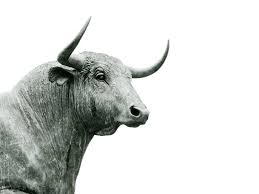 Find the latest clover health investments, corp (clov) stock quote, history, news and other vital information to help you with your stock trading and investing. Bofa Remains Bullish On Clover Health With Improving Visibility Into Growth