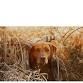 Hunterdon County Ducks Unlimited Summer Kick-Off