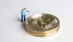 .sdn bhd 222 69 74 auto consultant sdn bhd 0 0 75 aviosupport corporation 131 sdn bhd) 135 coherent security services sdn bhd 114 55 136 coinage sdn bhd. Rm2 32b For Pizza Doge Bit The Coins Of The Digital World Trp