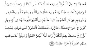 إِنَّ اللَّهَ لَا يَغْفِرُ أَنْ يُشْرَكَ بِهِ وَيَغْفِرُ مَا دُونَ ذَٰلِكَ لِمَنْ يَشَاءُ ۚ وَمَنْ يُشْرِكْ بِاللَّهِ فَقَدِ افْتَرَىٰ إِثْمًا عَظِيمًا. Islamicity Org Al Fath The Victory 48 29