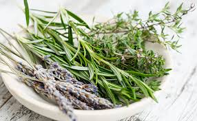 Comment Conserver Ses Aromatiques Apres La Saison