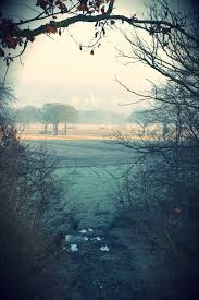 Ampleforth College View From The Lakes Favorite Places Ampleforth College Lake
