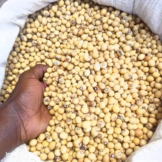 Bambara Nuts