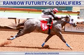 Alberta's original restaurant rebel still fighting for freedom at the whistle stop cafe. Rainbow Futurity G1 Qualifiers Speedhorse Magazine Your Global Connection To Quarter Horse Racing