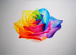 Rainbow Rose Rainbow Roses Baby Tattoos Graffiti